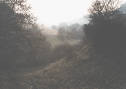 Bulls Hills